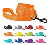 CollarDirect Nylon Dog Leash 5ft for Daily Outdoor Walking Running Training Heavy Duty Reflective Pet Leashes for Large, Medium & Small Dogs (L, Orange)