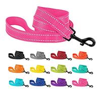 CollarDirect Nylon Dog Leash 5ft for Daily Outdoor Walking Running Training Heavy Duty Reflective Pet Leashes for Large, Medium & Small Dogs (S, Pink)