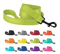 CollarDirect Nylon Dog Leash 5ft for Daily Outdoor Walking Running Training Heavy Duty Reflective Pet Leashes for Large, Medium & Small Dogs (L, Lime Green)