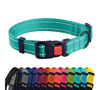 CollarDirect Reflective Dog Collar for a Small, Medium, Large Dog or Puppy with a Quick Release Buckle - Boy and Girl (Mint Green, 10''-13'')