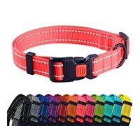 CollarDirect Reflective Dog Collar for a Small, Medium, Large Dog or Puppy with a Quick Release Buckle - Boy and Girl (Coral, 12''-16'')