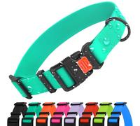 CollarDirect Waterproof Dog Collar - Silicone, Plastic Collar, Odor-Resistant, Easy to Clean, For Large, Medium, Small Dogs - Adjustable Collar with Breakaway Buckle (Neck Fit 12"-16", Mint Green)