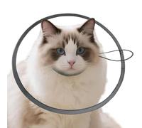 Collars for Cats Lightweight Pet Supplies