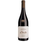 Collavini, Pucino, Friuli-Venezia Giulia, Refosco dal Peduncolo Rosso 2023 75cl - Pack of 6