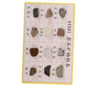COLLBATH 12 pcs Mineral Rock Specimen Kit for Teaching and Display Visible Texture Rocks for Geology Classroom Laboratory Use Student Educational Collection with Diverse Samples