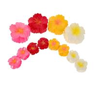 COLLBATH 12PCS Plumeria Flower Claw Hair Clips Gradient White Yellow Pink Red Tropical Hair Barrettes for Women Compact Travel-friendly Summer Beach Accessories