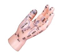 COLLBATH Hand Display Model Markings for Reflexology Human Hand Simulation Model for Tcm Teaching and Massage Therapy Training