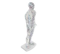 COLLBATH Human Acupuncture Point Mannequin Male Model for Traditional Chinese Medicine Teaching Full Body Pressure Point Display with Clear Meridian Markings for Massage and Acupoint