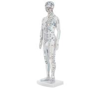 COLLBATH Male Human Acupoint Model Chinese Meridian Mannequin Teaching Tool for Acupuncture Study with Realistic Pressure Point Visualization