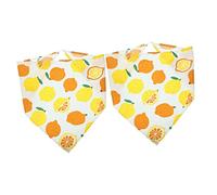 COLLBATH Polyester Dog Triangular Bandana 2 Pack Summer Cooling Scarf Easy Wash Pet Accessory Fun Fruit Design
