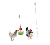 COLLBATH Stainless Steel Fruit Fork for Parrot Toy Bird Bite Toy Parrot Bite Hanging for Caged Birds Boredom Breaker