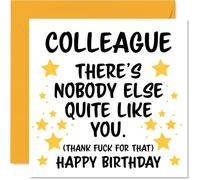 Colleague Birthday Card - Nobody Else Quite Like You - Happy Birthday Card for Colleague from Friend Coworker, 145mm rude funny Bday Greeting Cards