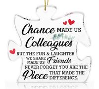Colleagues to Friend Gifts, Thank You Gifts for Colleagues, Retirement Going Away New Job Gift for Coworker Colleagues, Colleague Never Forget You Are the Piece Puzzle Shaped Acrylic Ornament Keepsake