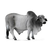 Collecta 88579 Grey Polled Brahman Bull, 5.3" L x 3.3" H, Gray