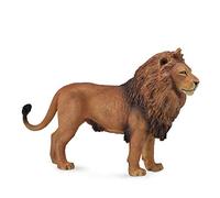 CollectA African Lion