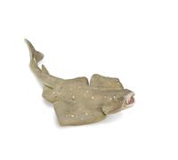 CollectA Angel Shark - Realistic Shark Toy, Sea Animal Toys For Kids, Animal Figures, Animal Toys, Ideal For Imaginary Play, 3 Years +