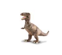 Collecta Tyrannosaurus Rex Baby
