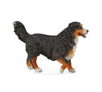 CollectA Bernese Mountain Dog