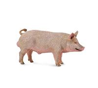 CollectA Boar