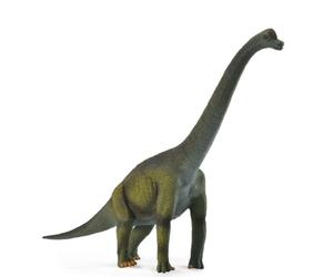 CollectA Brachiosaurus, Dinosaur Figure | Realistic Dinosaur Toy, Collectable Animal Figure for Imaginative Play, Gift for Kids Age 3+