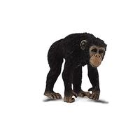 CollectA Chimpanzee Male