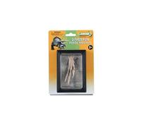 CollectA Collectible Foot Replica of Velociraptor for Ages 3 Years and Up