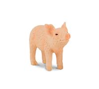 CollectA Collectible Realistic Animal Replica Piglet Figure Small Ages 3+ and Up