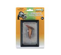 CollectA Tooth of Spinosaurus Box Set
