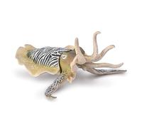 CollectA Common Cuttlefish - Realistic Hand Painted Sea Life Creature, Ocean Toys & Figures, Animal Models, Age 3 Years +