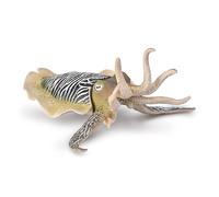CollectA Common Cuttlefish, Realistic Hand Painted Sea Life Creature