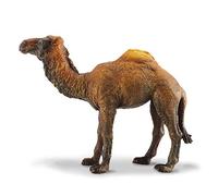 CollectA Dromedary Camel