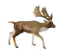 CollectA Fallow Deer Male
