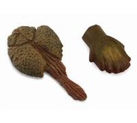 CollectA Tooth And Tail Club Of Ankylosaurus Box Set