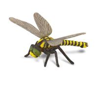 Collecta Figurine Golden-Ringed Dragonfly – Realistic Animal Replica, Large, Ages 3+