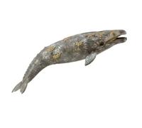 CollectA Gray Whale
