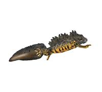 CollectA Great Crested Newt | Toy Animals | Small Amphibian Figure for Kids | Mini crested newt toy figurine for children & adults, figures for display, play & learning, miniature gifts for animal lovers