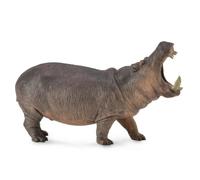 CollectA Hippopotamus