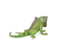 CollectA Iguana, Reptile Figure | Realistic Collectable Animal Figure for Imaginative Play, Gift for Kids Age 3+