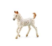 CollectA Knabstrupper Foal Leopard Spotted, Horse Figure | Realistic Collectable Animal Figure for Imaginative Play, Gift for Kids Age 3+