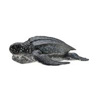 CollectA Leatherback Sea Turtle