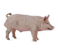CollectA Boar