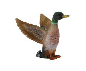 CollectA Mallard Duck Male, Bird Figure | Realistic Collectable Animal Figure for Imaginative Play, Gift for Kids Age 3+