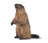 CollectA Marmot - Realistic & Hand Finished Animal Figure CollectA Multicolor