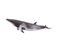 CollectA Minke Whale