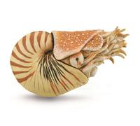 CollectA, Nautilus Pompilius, Collectable Animal Figurine