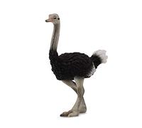 CollectA Ostrich