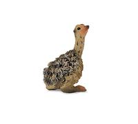 CollectA Ostrich Chick - Sitting