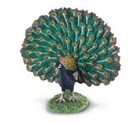 CollectA Peacock, Bird Figure