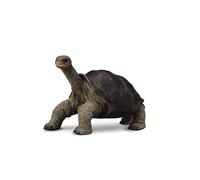 CollectA Pinta Island Tortoise (In memory of Lonesome George)
