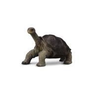CollectA Pinta Island Tortoise, In Memory of Lonesome George | Realistic Collectable Tortoise Figure, In Memory of Lonesome George, Gift for Kids Age 3+